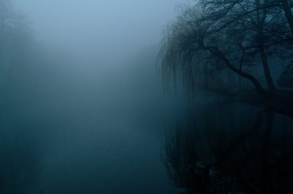 the fog, darkness, nature