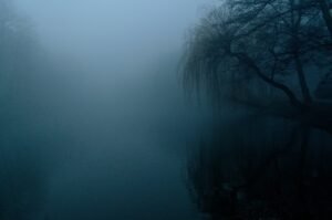 the fog, darkness, nature